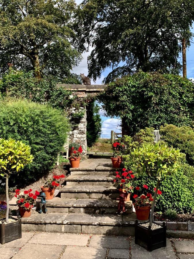 梅尔罗斯The Ghillie住宿加早餐旅馆 外观 照片